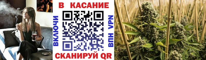 Купить закладку Галлюциногенные грибы  Меф  ГАШИШ  Кокаин  Невель