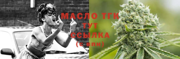 шишки Верея