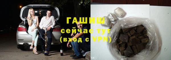 шишки Верея