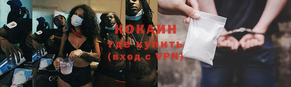 шишки Верея