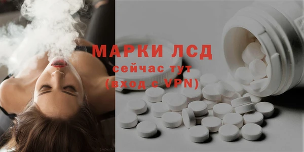 шишки Верея