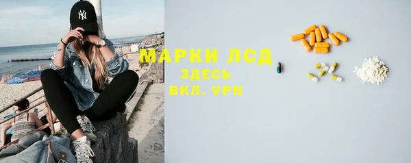шишки Верея