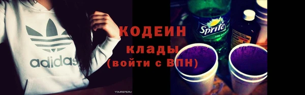 шишки Верея