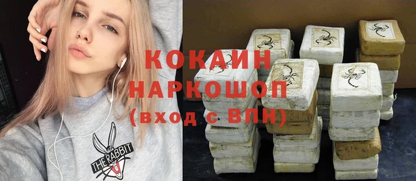 apvp Бородино