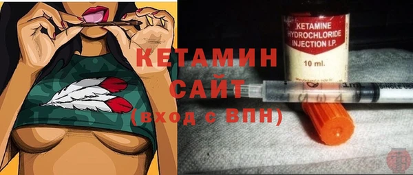 шишки Верея