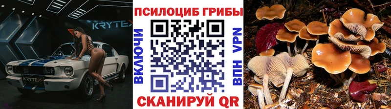 Псилоцибиновые грибы прущие грибы  Купить где  Невель 